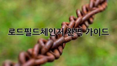 로드필드체인저 완벽 가이드