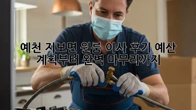 예천 지보면 원룸 이사 후기: 예산 계획부터 완벽 마무리까지!
