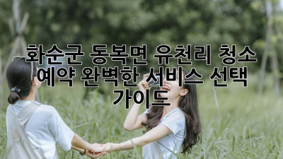 화순군 동복면 유천리 청소 예약: 완벽한 서비스 선택 가이드